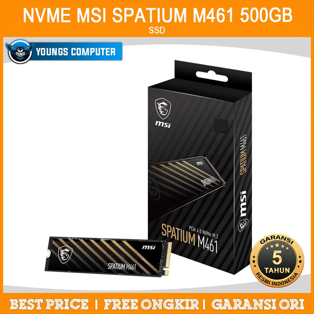 SSD NVME MSI SPATIUM M461 500GB PCIe 4.0 | Gen4x4 M.2 2280 500GB