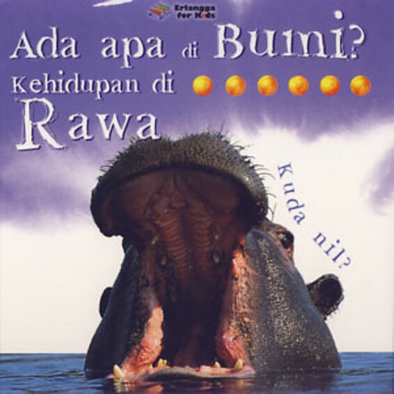 Erlangga For Kids - ADA APA DI BUMI: RAWA