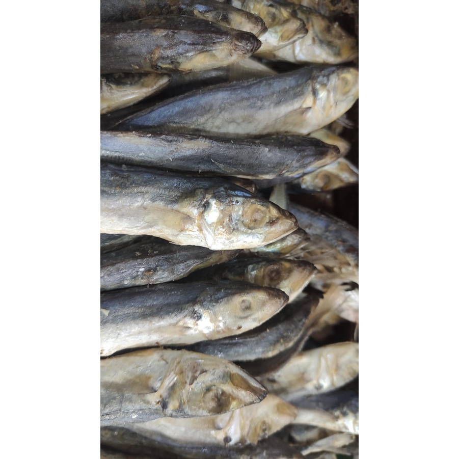 

IKAN ASIN PEDA LAYANG/CINGENG