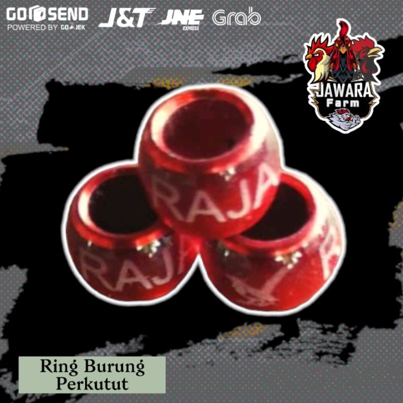 Ring Perkutut Lovebird Model DONAT