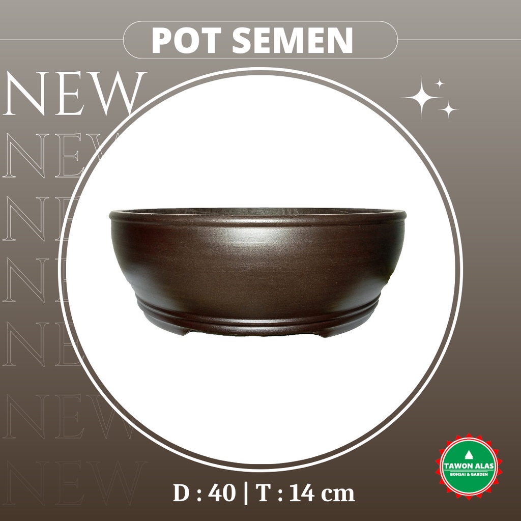 Pot Bonsai Semen Bundar Small Medium