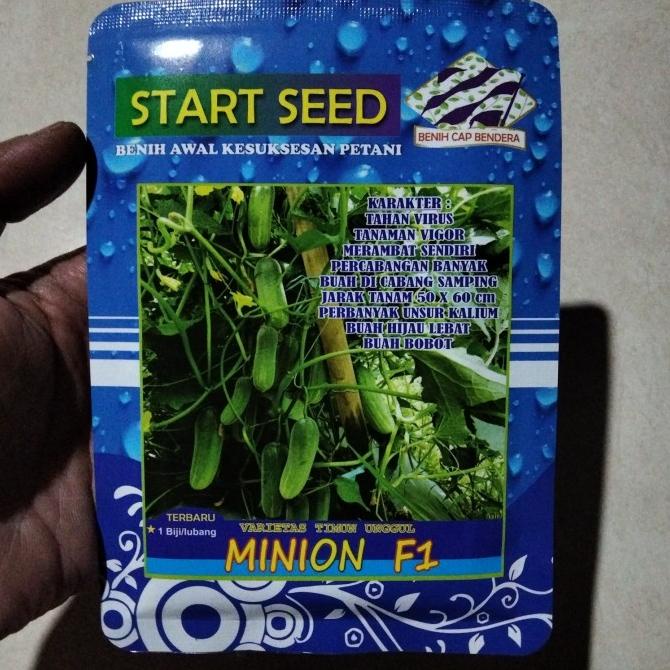 Bibit Timun Minion F1 20gr - Benih Ketimun Lalap sampai Ujung Mentimun