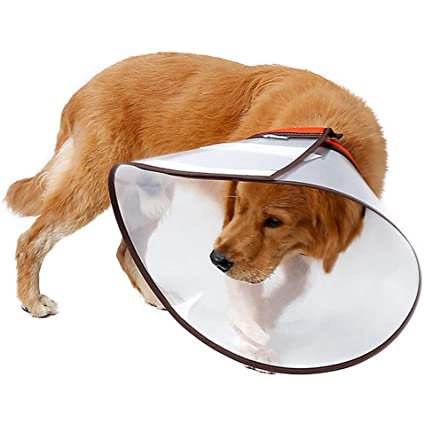 Collar Cone Guard Large - Pelindung Leher Anjing Besar Jumbo Neck Collar Large Dog Pet Protection Cone