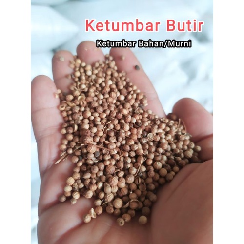 

Ketumbar / Ketumbar butir murni /Coriander / harga 1KG