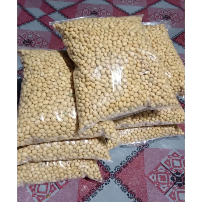 500 GRAM BENIH KACANG KEDELAI Varietas GROBOGAN