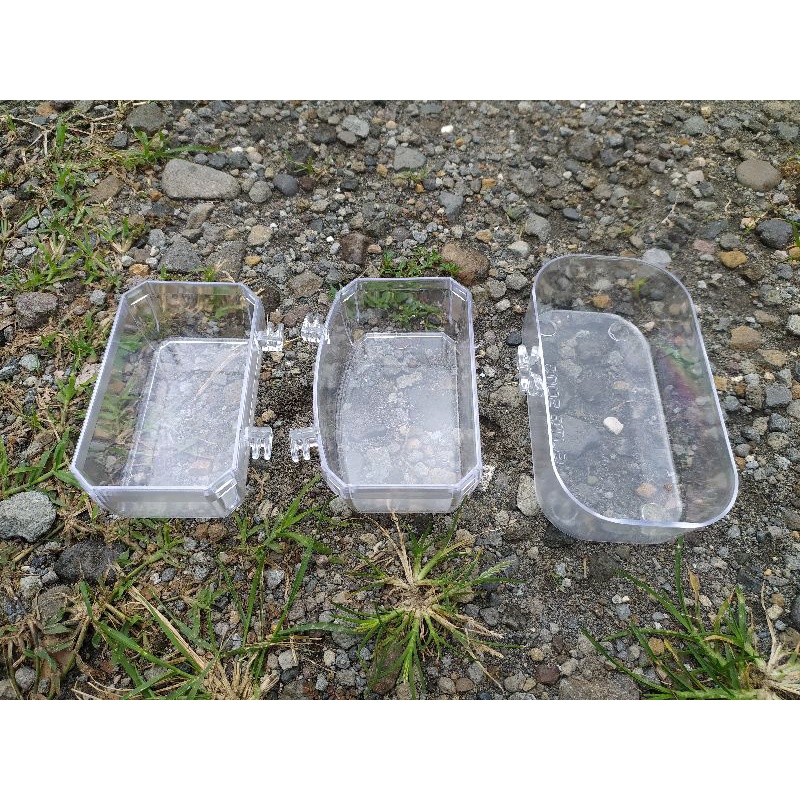 CEPUK MANDI BURUNG BESAR ELITE SONG