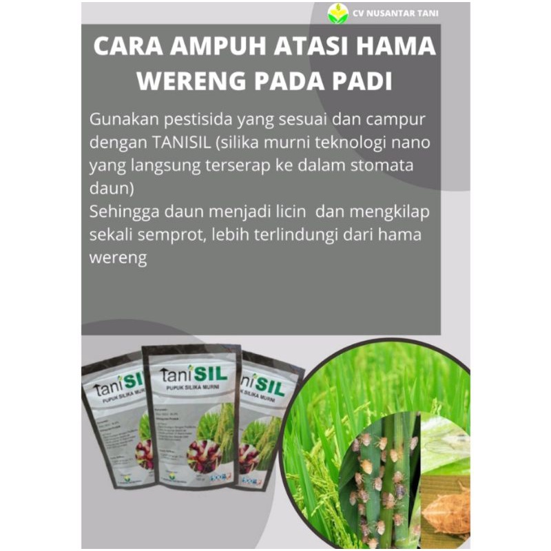 TANI SIL / TANISIL 100gr 250gr 500gr PUPUK SILIKA MURNI PUPUK SILIKA