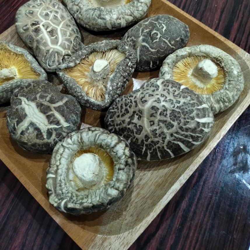 

✮ r Shitake / Hioko / Hyoko Kering Besar / Kecil 250 Gram ✸