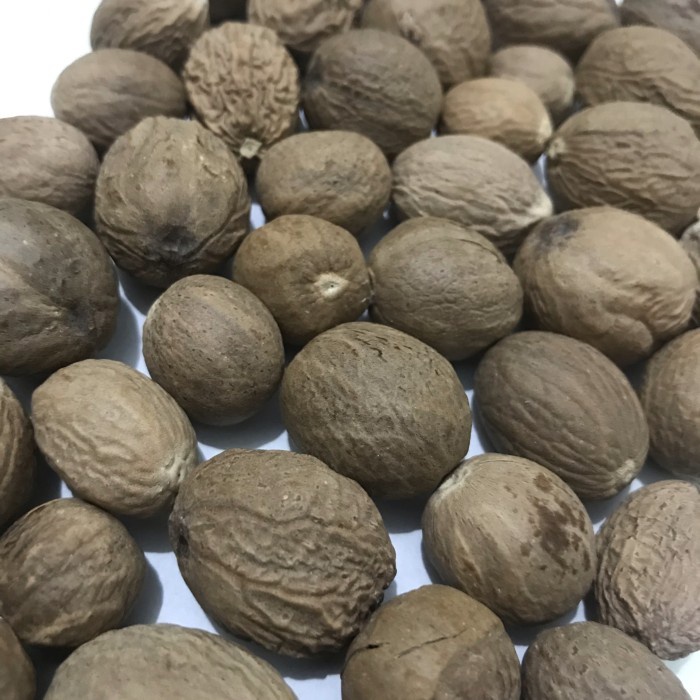 

BIJI PALA BULAT KUPAS NUTMEG 100 GRAM SANGAT AMPUH MANJUR