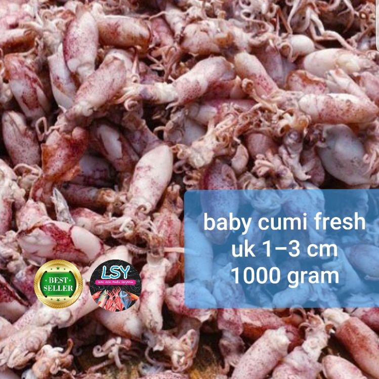 

➣ ikan asin baby cumi / cumi asin / cumi rebus 78 berat 1kg ➦