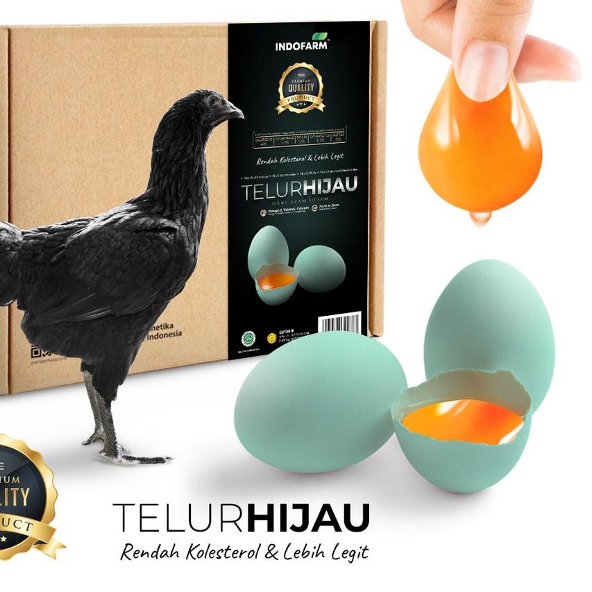 

◌ Indofarm Telur Hijau dari Ayam Hitam Rendah Kolesterol Isi 20 Butir ➽