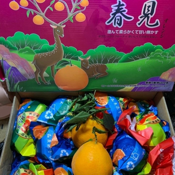 

Buah Jeruk Dekopon Sincya Imlek Premium 4.5Kg [Hampers] [Parcel]