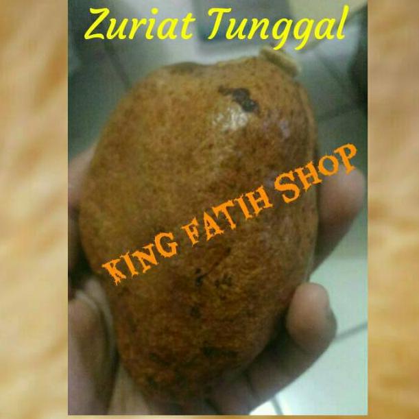 

(♥C6369] Buah Zuriat Tunggal Mesir 1 Kg (Untuk Promil dan Penurun Darah Tinggi)