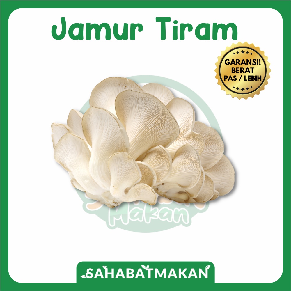 

Jamur Tiram Putih — Sahabat Makan Sayur Jogja