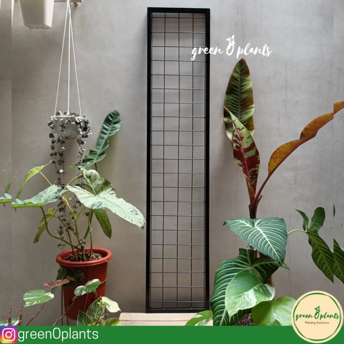 Bagprep Rak Vertical Garden 120Cmx25Cm