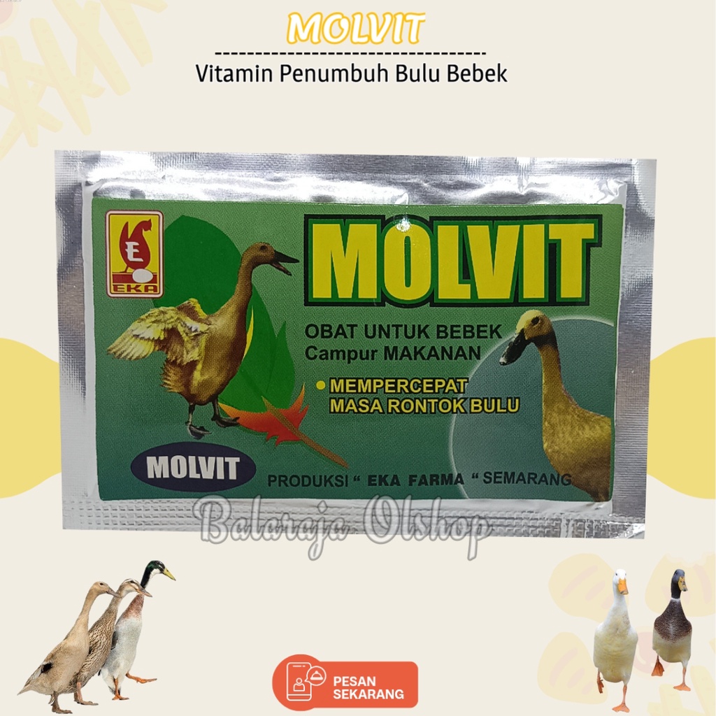 MOLVIT 10 gram MEMPERCEPAT MASA RONTOK BULU BEBEK / AYAM Produksi EKA FARMA