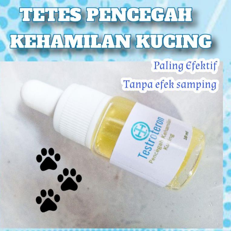 VIRAL KB kucing pencegah kehamilan