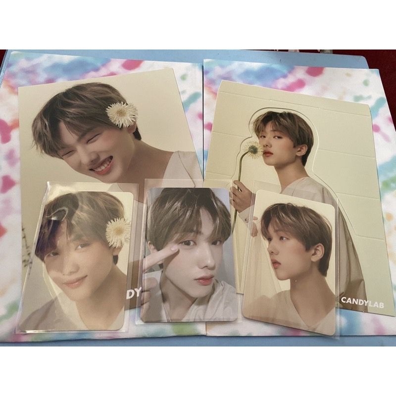 candylab x nct dream V4 Full Bloom Set Jisung