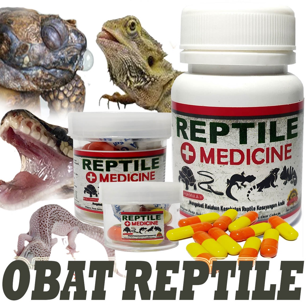 REPTILE MEDICINE OBAT PILEK PNEMONIA FLU MOGOK MAKAN MATA BENGKAK MBD LEMAS MATA DIARE PENCERNAAN CY