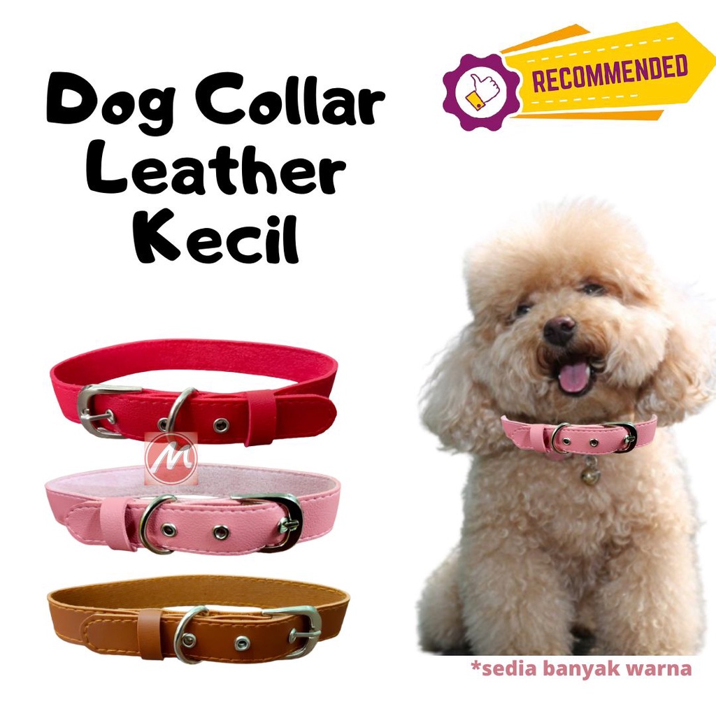 Leather Dog Collar Small - Kalung Anjing