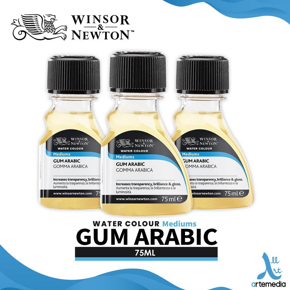 

Medium Cat Air Winsor & Newton 75ml Gum Arabic Watercolor Medium