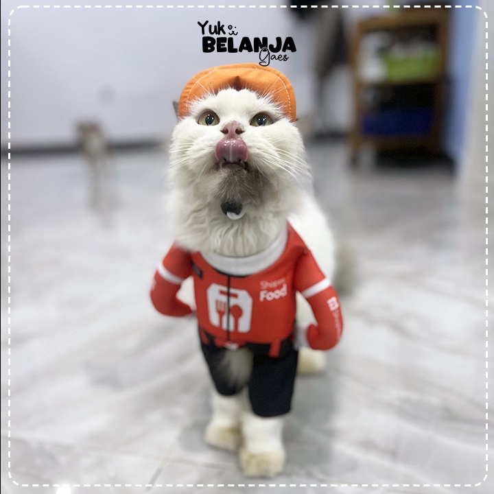 Baju Kucing Bahan Poliester Kostum Kurir Shopee Series Terlucu Baju Kucing anjing kelinci Lucu murah Size S-XL / Yuk Belanja Gaes!