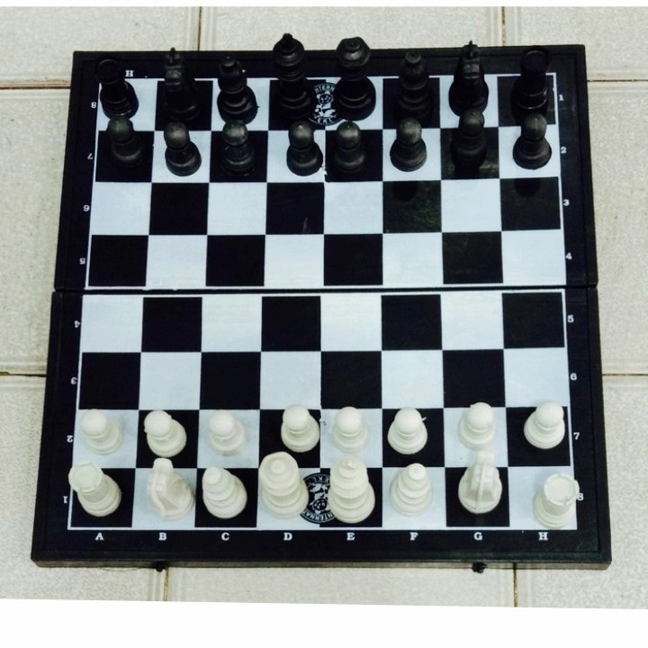 Papan Catur Lipat Plastik - Mainan Papan Catur Chess Board Game - PAPAN CATUR