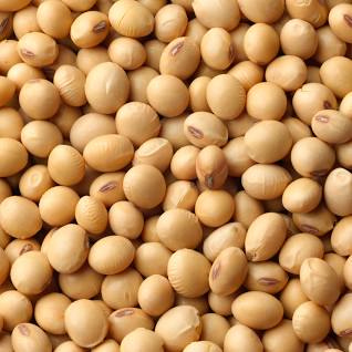 

Kacang Kedelai 500 gram