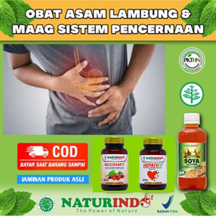 Obat asam lambung herbal ampuh Asam lambung Lambung Maag Herbal asam lambung Asam lambung Asam lambu