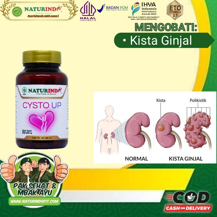 obat kista ginjal herbal kista ginjal solusi kista ginjal alami tanpa efek samping BPOM MUI 50 KPSL
