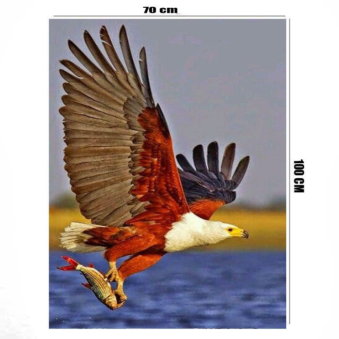 Poster jumbo uk 70 x 100 bahan albatros motiv Elang merah