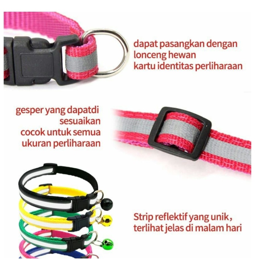 KALUNG KUCING LONCENG GLOW IN THE DARK cat collar kalung anjing