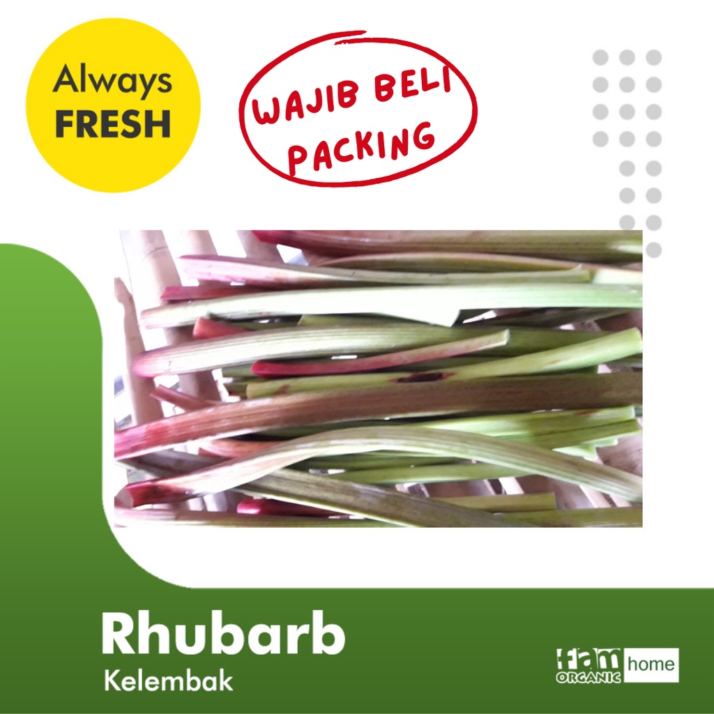 

Rhubarb Batang FAM Organik Herba Segar Fresh Herb