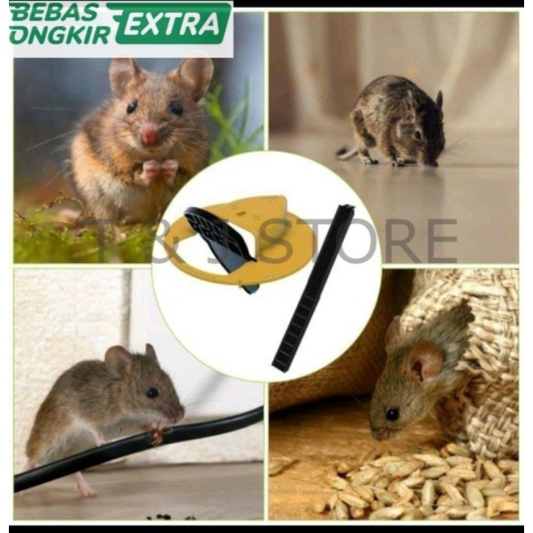 

Promo rat trapper TJ Murah