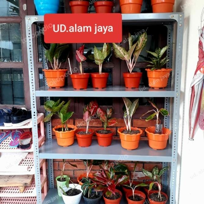 Rak Besi Siku 4 Susun