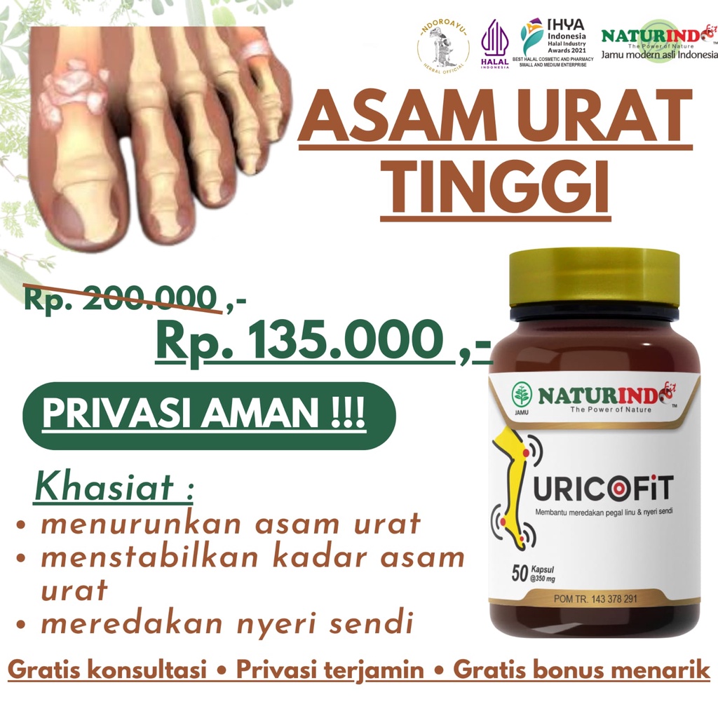 Obat asam urat dan kolesterol nyeri sendi paling ampuh obat asam urat herbal paling ampuh uricofit n