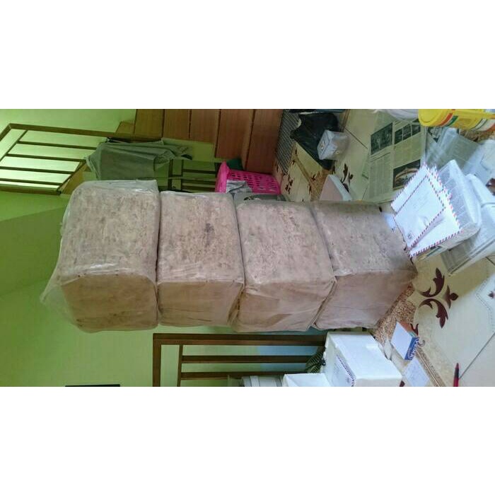Terlaris Sphagnum Moss Chille Premium Quality 1Kg