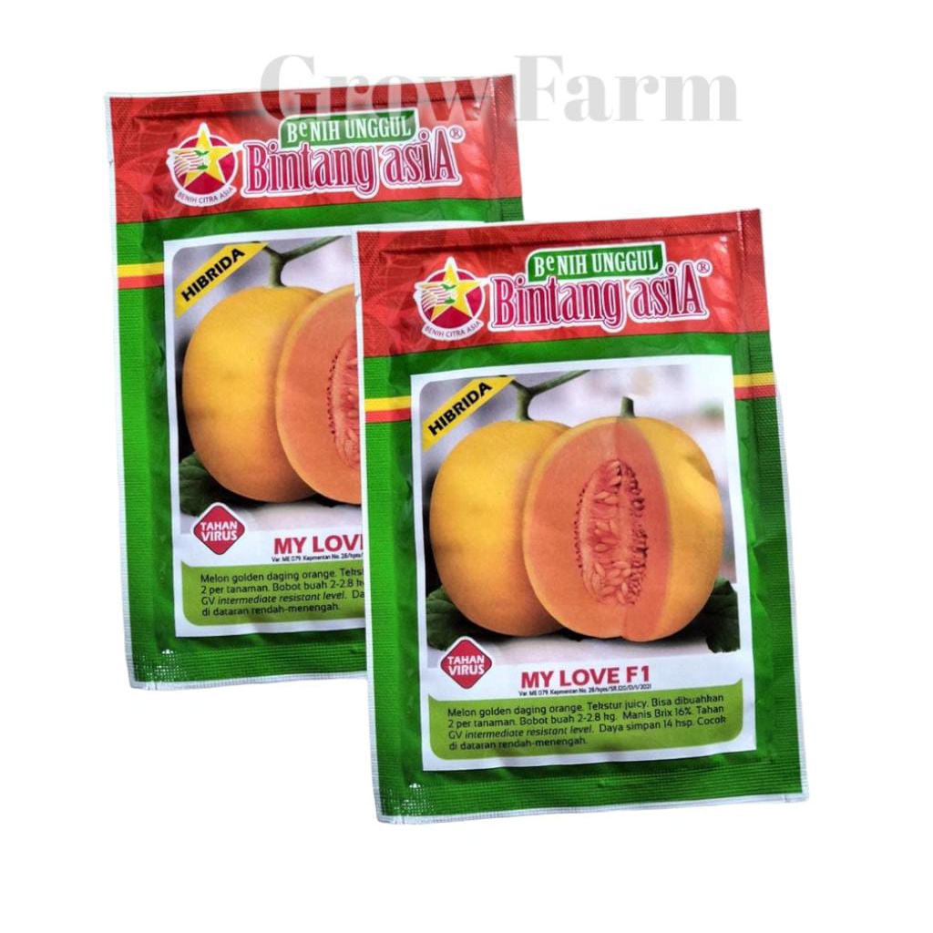 Benih Bibit Melon Golden MY LOVE F1 20 Gram Bintang Asia