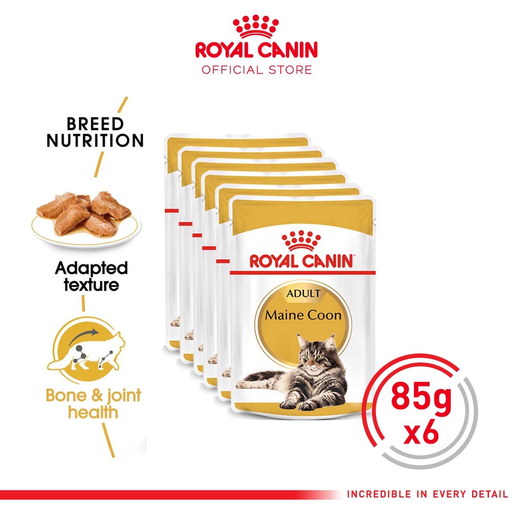 Royal Canin Maine Coon Adult (85g x 6 pouches) Wet Makanan Kucing Dewasa - Feline Breed Nutrition