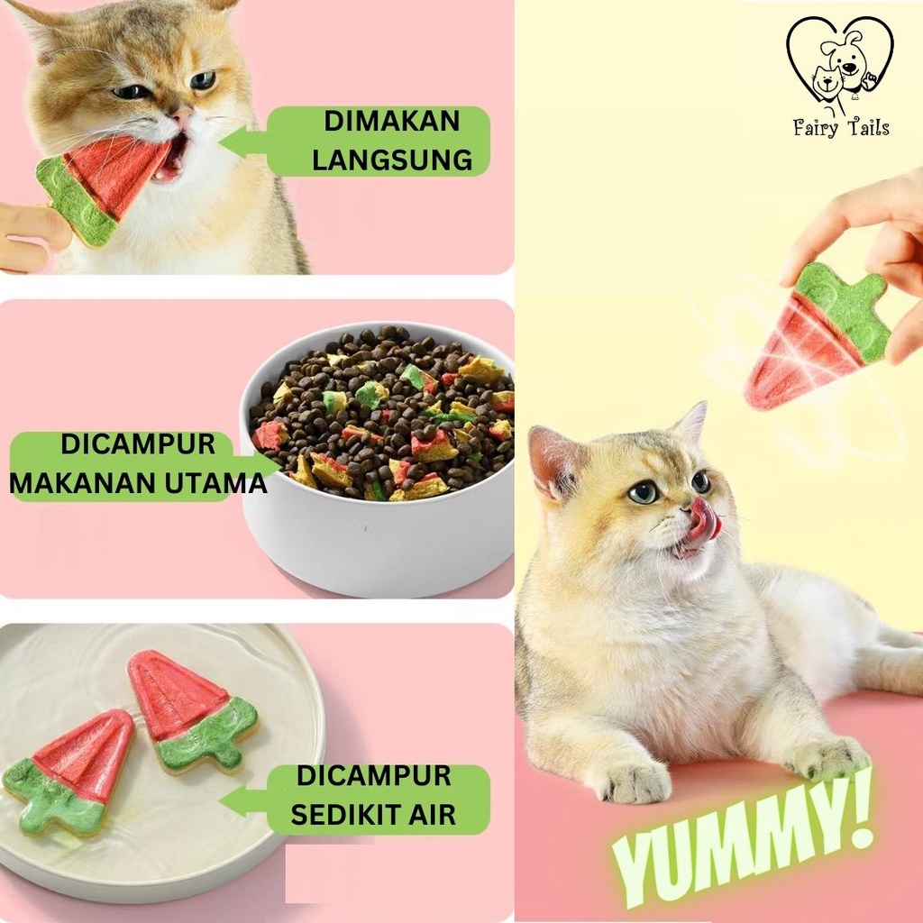 Freeze Dried Snack Cemilan Daging Beku Ayam dan Bebek Dengan Cranberry Bentuk Semangka Untuk Kucing / Freeze Dried Watermelon Ice Cream Shape for Cat