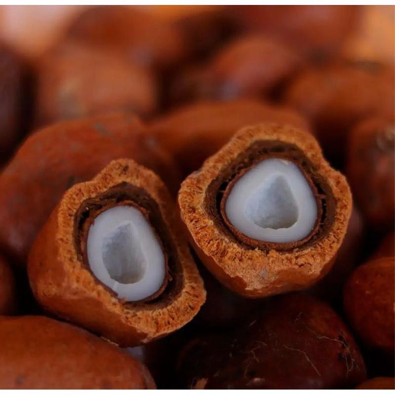 

Buah Zuriat Belah 100% Original Mesir 1Kg Dan Testpack Kualitas Terbaik