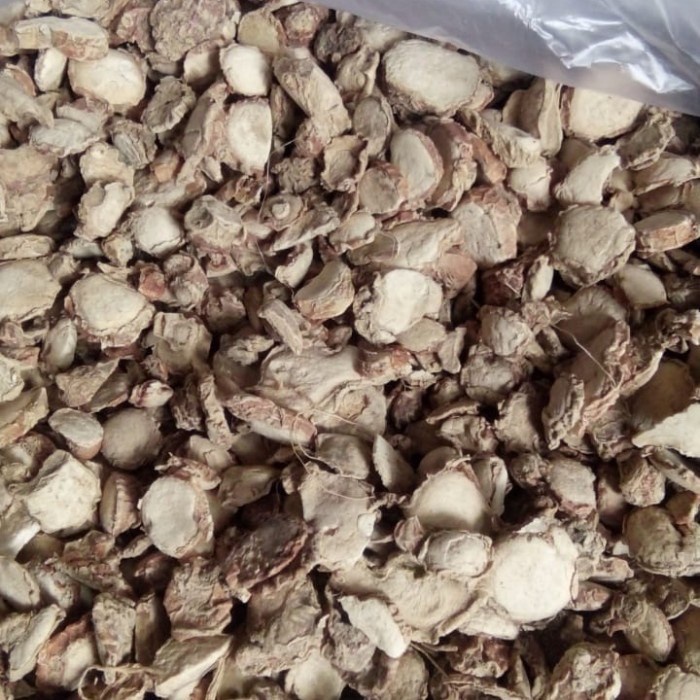 

KENCUR KERING 250 GRAM AMPUH