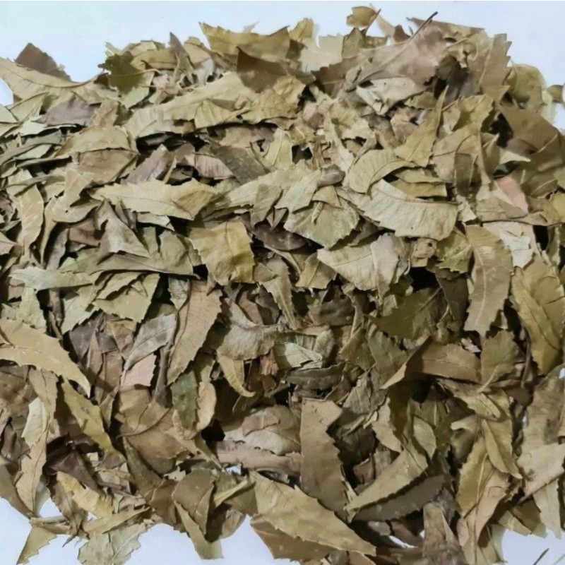 

Daun Mimba Kering 100gr - Daun Imba / Imbo / Mimbo