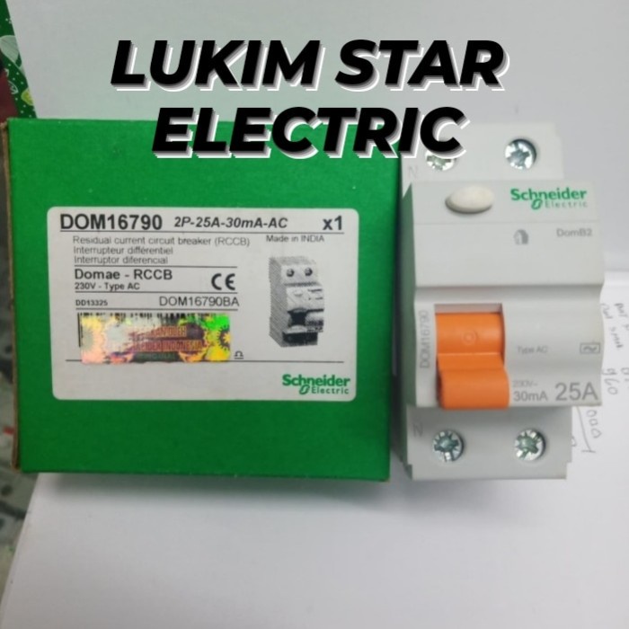 Rccb/Elcb Schnedier 25A 2Phase 30Ma/Elcb 25A 2P 30Ma Schneider 2 Phase