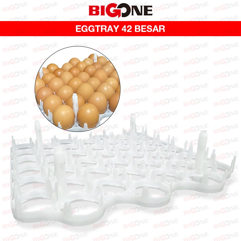 Egg Tray 42 / Tempat Penyimpanan Telur / Alat Perlengkapan Peternakan Termurah [ order 5 pcs paling 