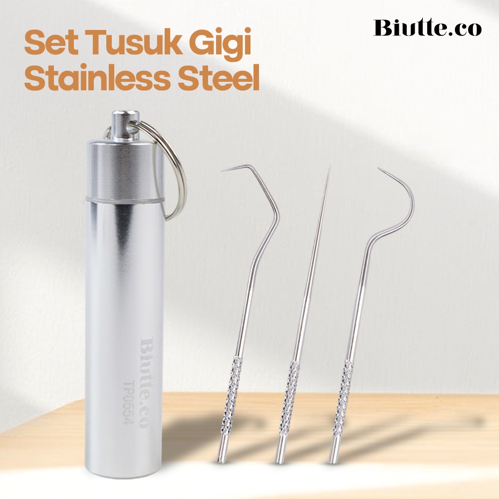 GUI8 Biutte.co Tusuk Gigi Stainless Steel Toothpick Set Metal Flossing Tool Tp0554 Silver ORi-I