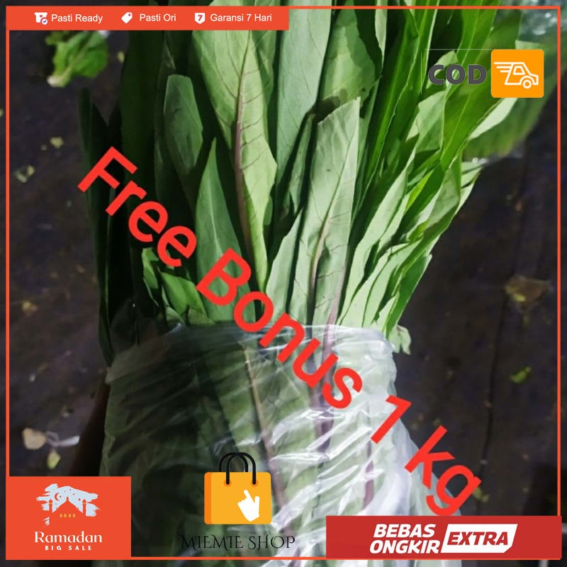 

Fumak uk 1 kg Gratis Bonus