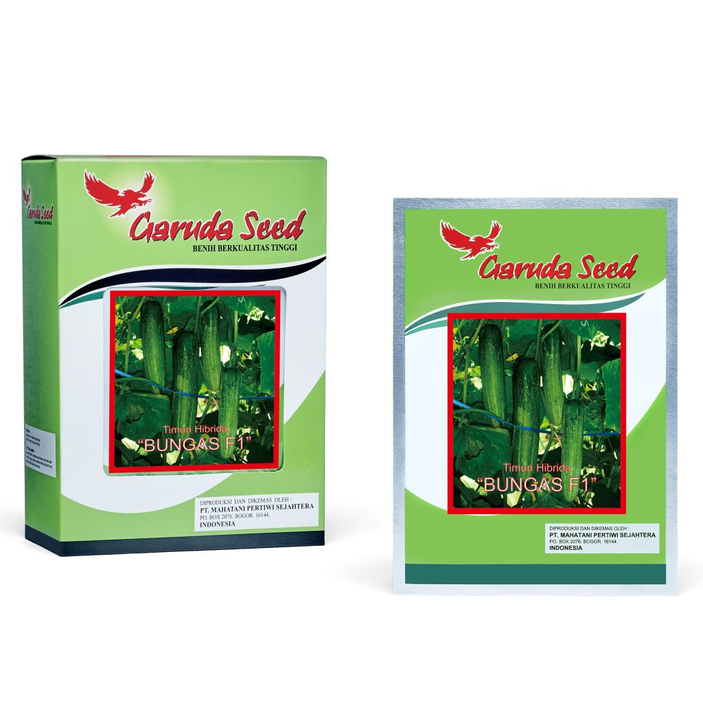 (1 PACK) Benih Timun Hijau BUNGAS F1 Mentimun Hibrida Seeds - Garuda Seed - 10 GRAM