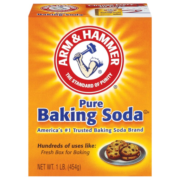 

ARM & HAMMER PURE BAKING SODA 454GR USA BUBUK BAKING SODA IMPORT