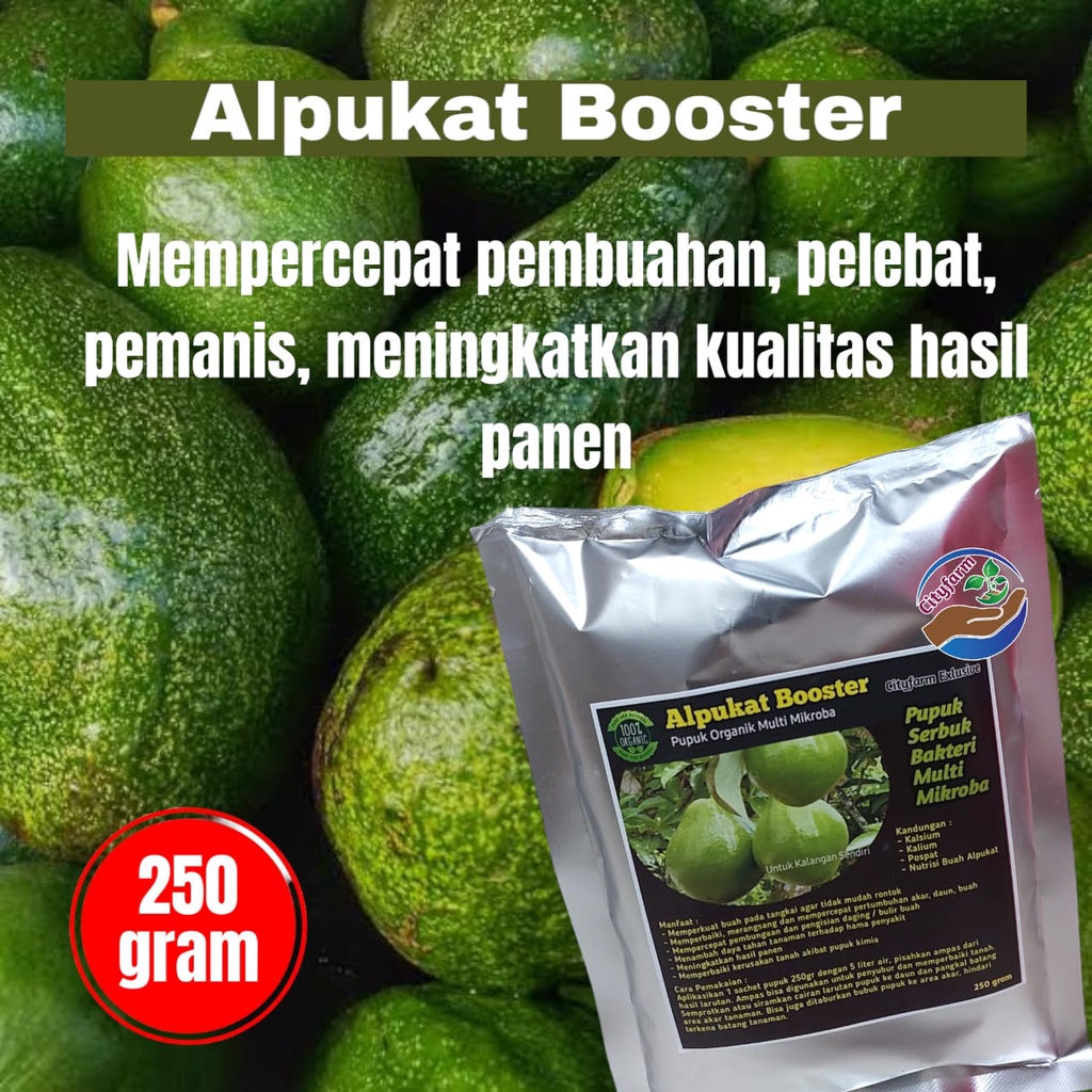 Pupuk Organik Booster Buah Alpukat Pelebat Super Berbuah Lebat 250gr